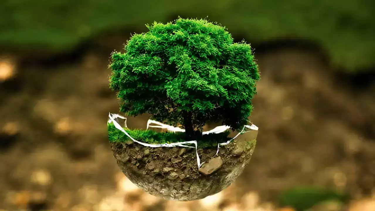 Un'immagine generica segnaposto con angoli arrotondati in una figura.